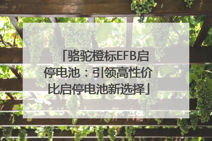 骆驼橙标EFB启停电池：引领高性价比启停电池新选择