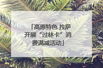 高原特色 拉萨开展“过林卡”消费满减活动