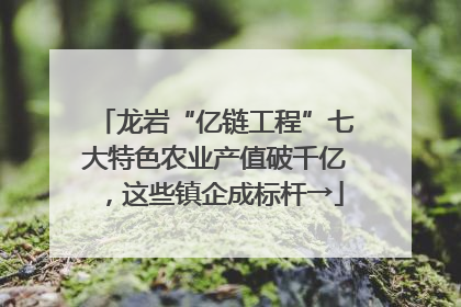 龙岩“亿链工程”七大特色农业产值破千亿，这些镇企成标杆→