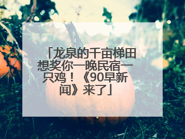 龙泉的千亩梯田想奖你一晚民宿一只鸡！《90早新闻》来了