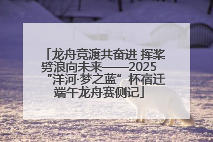 龙舟竞渡共奋进 挥桨劈浪向未来——2025“洋河·梦之蓝”杯宿迁端午龙舟赛侧记
