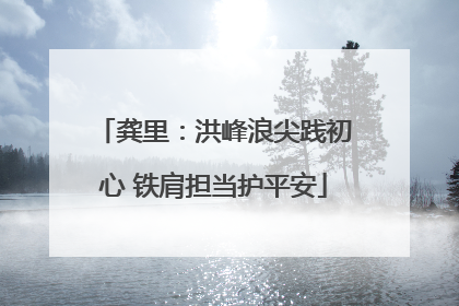 龚里：洪峰浪尖践初心 铁肩担当护平安