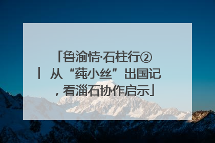 鲁渝情·石柱行② ︳从“莼小丝”出国记，看淄石协作启示