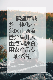 鹤壁市城乡一体化示范区市场监管分局开展重点问题食用农产品专项整治
