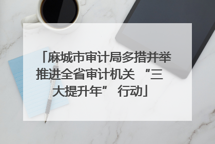 麻城市审计局多措并举推进全省审计机关 “三大提升年” 行动