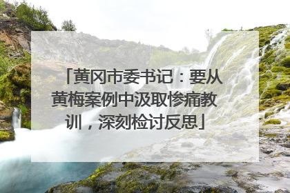 黄冈市委书记：要从黄梅案例中汲取惨痛教训，深刻检讨反思
