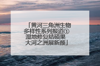 黄河三角洲生物多样性系列报道①湿地修复结硕果 大河之洲展新颜