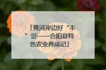 黄河岸边好“丰”景——合阳县特色农业养成记