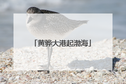 黄骅大港起渤海