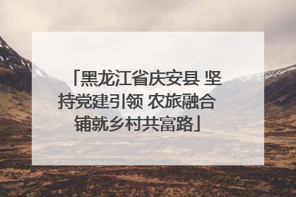 黑龙江省庆安县 坚持党建引领 农旅融合铺就乡村共富路