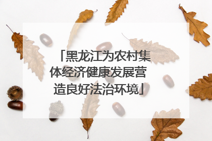 黑龙江为农村集体经济健康发展营造良好法治环境