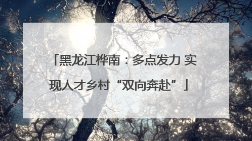 黑龙江桦南：多点发力 实现人才乡村“双向奔赴”