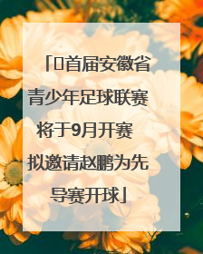﻿首届安徽省青少年足球联赛将于9月开赛 拟邀请赵鹏为先导赛开球