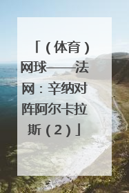 （体育）网球——法网：辛纳对阵阿尔卡拉斯（2）
