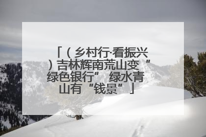 （乡村行·看振兴）吉林辉南荒山变“绿色银行” 绿水青山有“钱景”