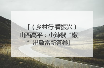 （乡村行·看振兴）山西高平：小辣椒“椒”出致富新答卷