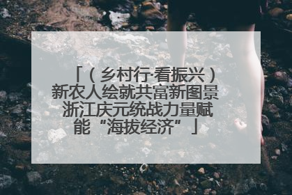 （乡村行·看振兴）新农人绘就共富新图景 浙江庆元统战力量赋能“海拔经济”