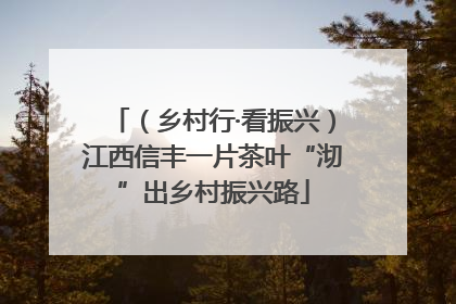 （乡村行·看振兴）江西信丰一片茶叶“沏”出乡村振兴路