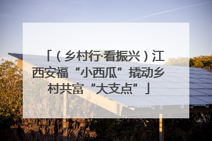 （乡村行·看振兴）江西安福“小西瓜”撬动乡村共富“大支点”
