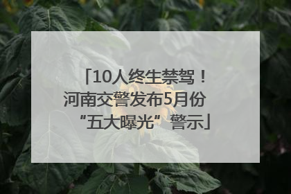 10人终生禁驾！河南交警发布5月份“五大曝光”警示