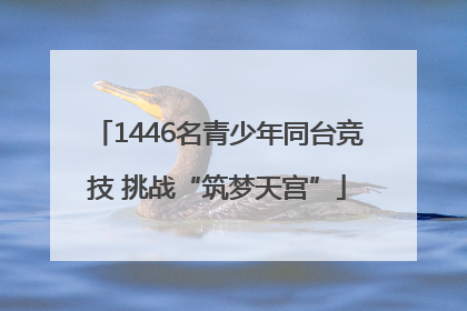 1446名青少年同台竞技 挑战“筑梦天宫”