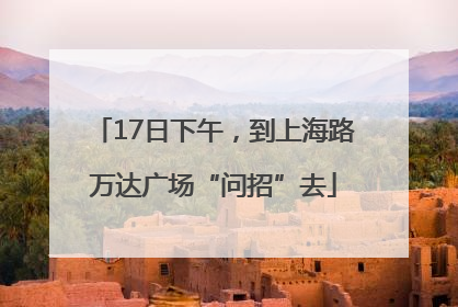 17日下午，到上海路万达广场“问招”去