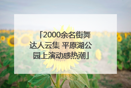 2000余名街舞达人云集 平原湖公园上演动感热潮