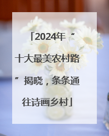 2024年“十大最美农村路”揭晓，条条通往诗画乡村