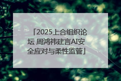 2025上合组织论坛 周鸿祎建言AI安全应对与柔性监管