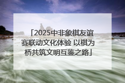 2025中非象棋友谊赛联动文化体验 以棋为桥共筑文明互鉴之路