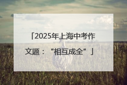2025年上海中考作文题：“相互成全”