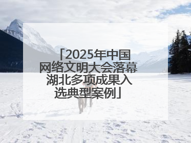 2025年中国网络文明大会落幕 湖北多项成果入选典型案例