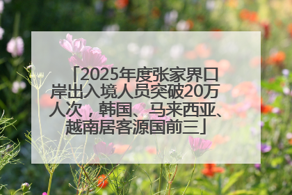 2025年度张家界口岸出入境人员突破20万人次，韩国、马来西亚、越南居客源国前三