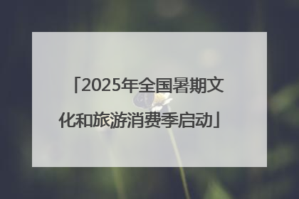 2025年全国暑期文化和旅游消费季启动