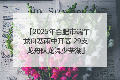 2025年合肥市端午龙舟赛雨中开赛 29支龙舟队龙舞少荃湖