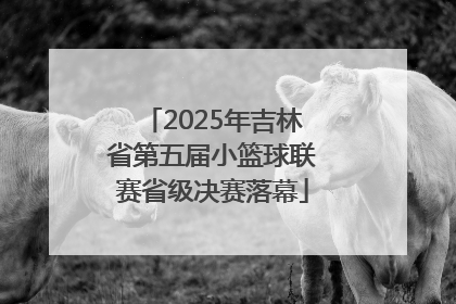 2025年吉林省第五届小篮球联赛省级决赛落幕