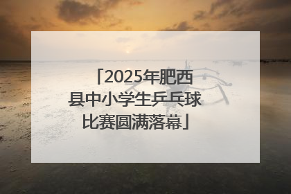 2025年肥西县中小学生乒乓球比赛圆满落幕