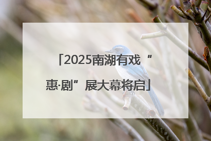 2025南湖有戏“惠·剧”展大幕将启