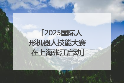 2025国际人形机器人技能大赛在上海张江启动