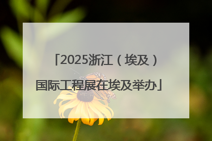 2025浙江（埃及）国际工程展在埃及举办