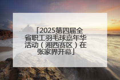2025第四届全省职工羽毛球嘉年华活动（湘西赛区）在张家界开幕