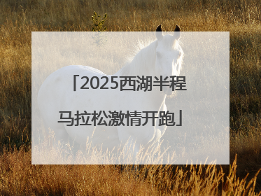 2025西湖半程马拉松激情开跑