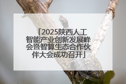 2025陕西人工智能产业创新发展峰会暨智算生态合作伙伴大会成功召开