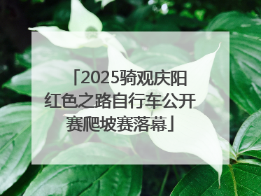 2025骑观庆阳红色之路自行车公开赛爬坡赛落幕
