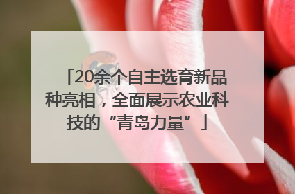 20余个自主选育新品种亮相，全面展示农业科技的“青岛力量”
