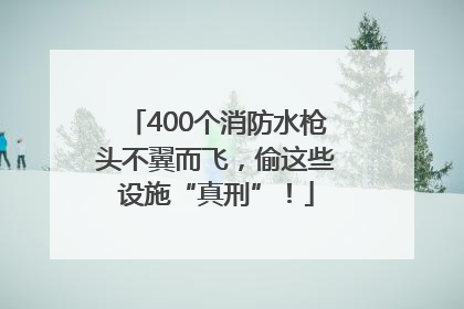 400个消防水枪头不翼而飞，偷这些设施“真刑”！