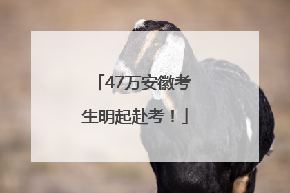 47万安徽考生明起赴考！