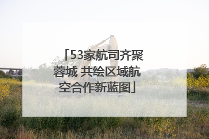 53家航司齐聚蓉城 共绘区域航空合作新蓝图