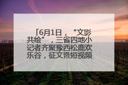 6月1日，“文影共绘”，三省四地小记者齐聚豫西松鹿欢乐谷，征文暨短视频大赛精彩启幕！