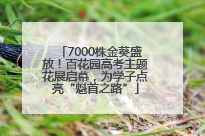 7000株金葵盛放！百花园高考主题花展启幕，为学子点亮“魁首之路”